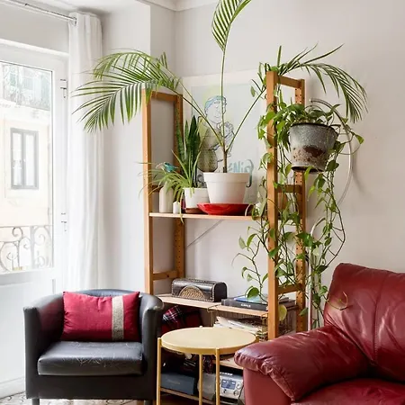 Alfama 2br Near Se & Terreiro Do Paco Апартаменты *